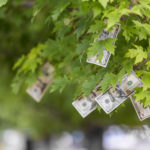 Harvesting Capital Gains vs. Roth Conversions